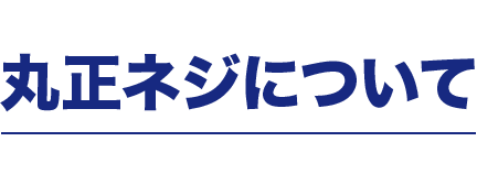 丸正ネジについて